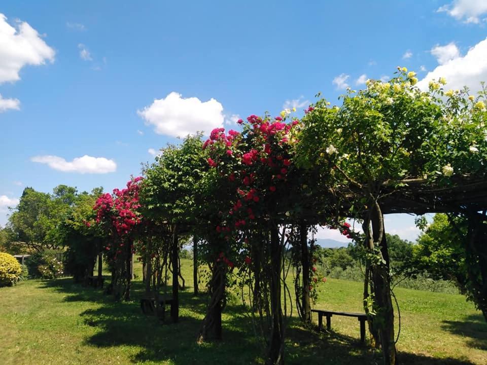 Locanda Rosati Orvieto Kültér fotó