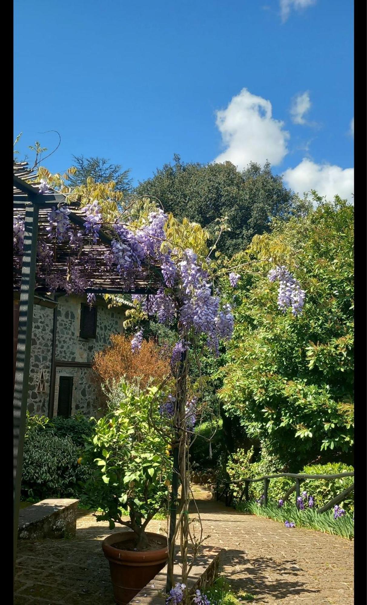 Locanda Rosati Orvieto Kültér fotó