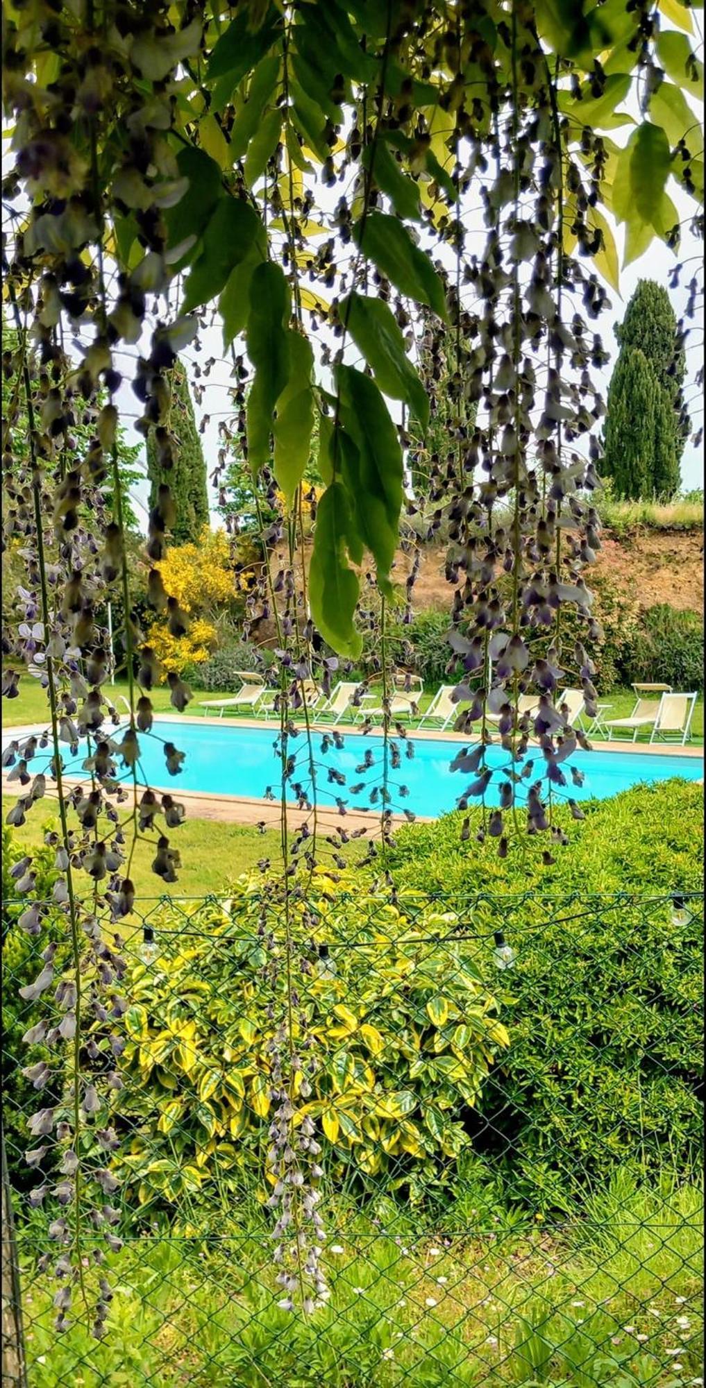 Locanda Rosati Orvieto Kültér fotó