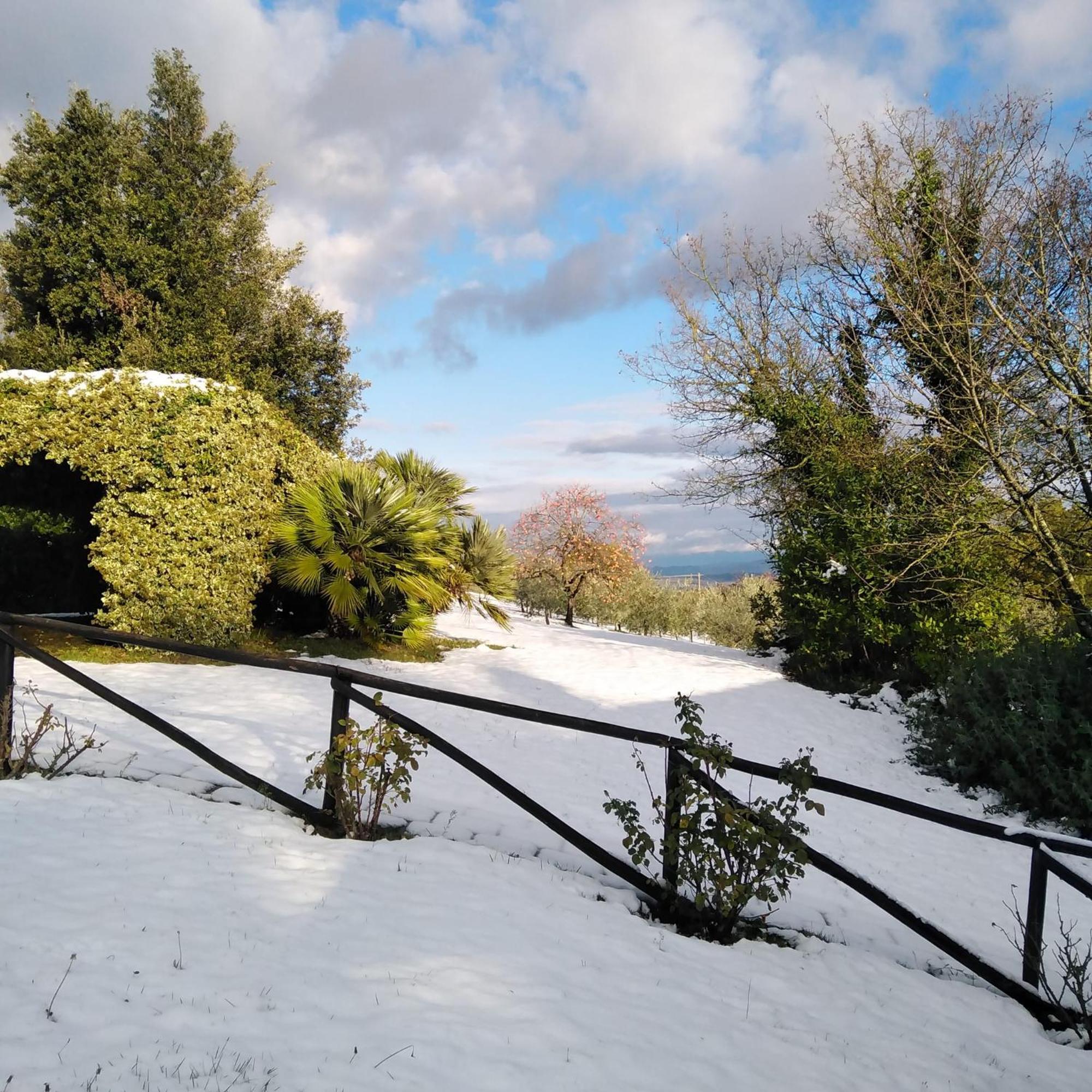 Locanda Rosati Orvieto Kültér fotó