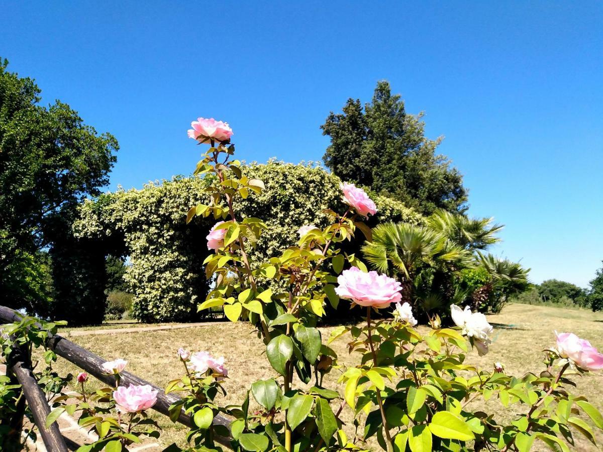 Locanda Rosati Orvieto Kültér fotó